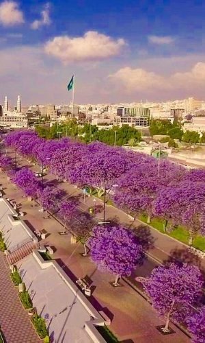 Abha City 2 Abha City 2